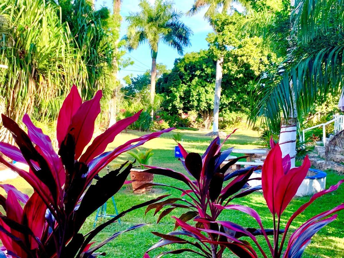 Hotel Green River Izamal Bagian luar foto