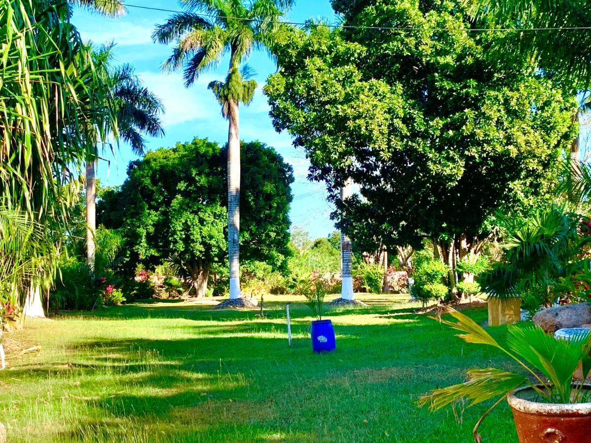 Hotel Green River Izamal Bagian luar foto